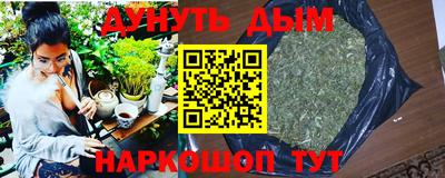 дмт Новозыбков