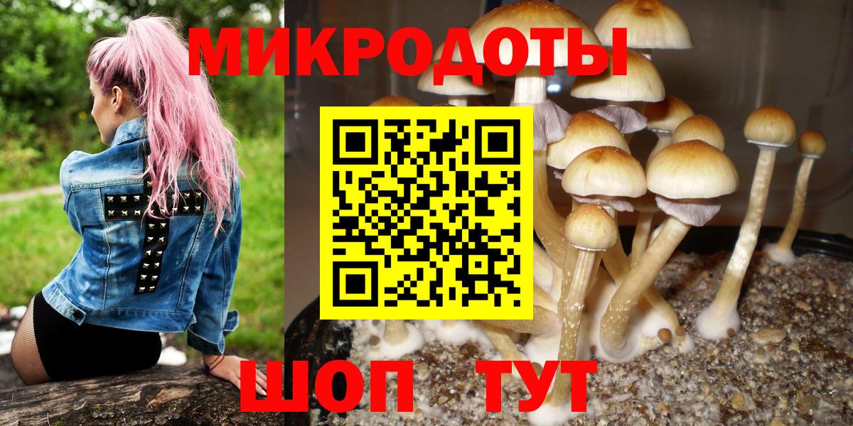 Галлюциногенные грибы MAGIC MUSHROOMS  Вход с VPN  Баксан  Псилоцибиновые грибы Magic Shrooms 